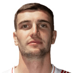N. Mulahusejnović