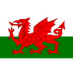 Wales U19 - logo