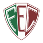 Fluminense PI - logo
