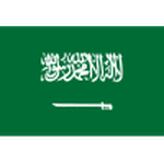 Saudi Arabia - logo