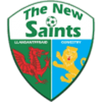 The New Saints - logo